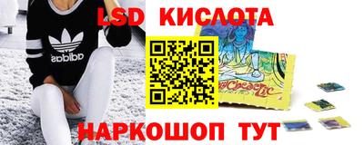 ECSTASY Камышлов