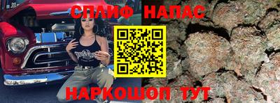 ECSTASY Камышлов