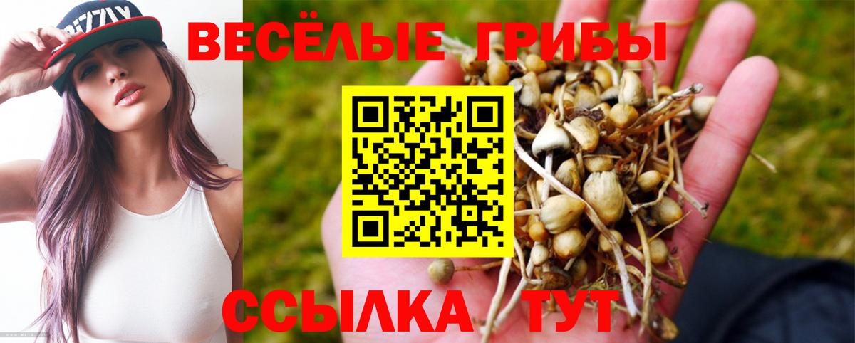 Галлюциногенные грибы Psilocybine cubensis  Псилоцибиновые грибы прущие грибы  Шахты  даркнет сайт  Вход с VPN 