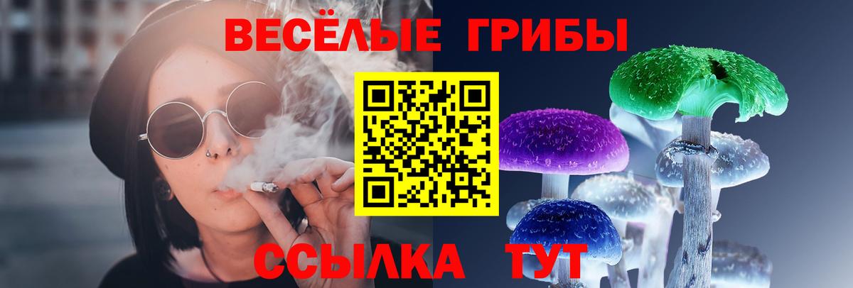 Галлюциногенные грибы Psilocybe Шахты
